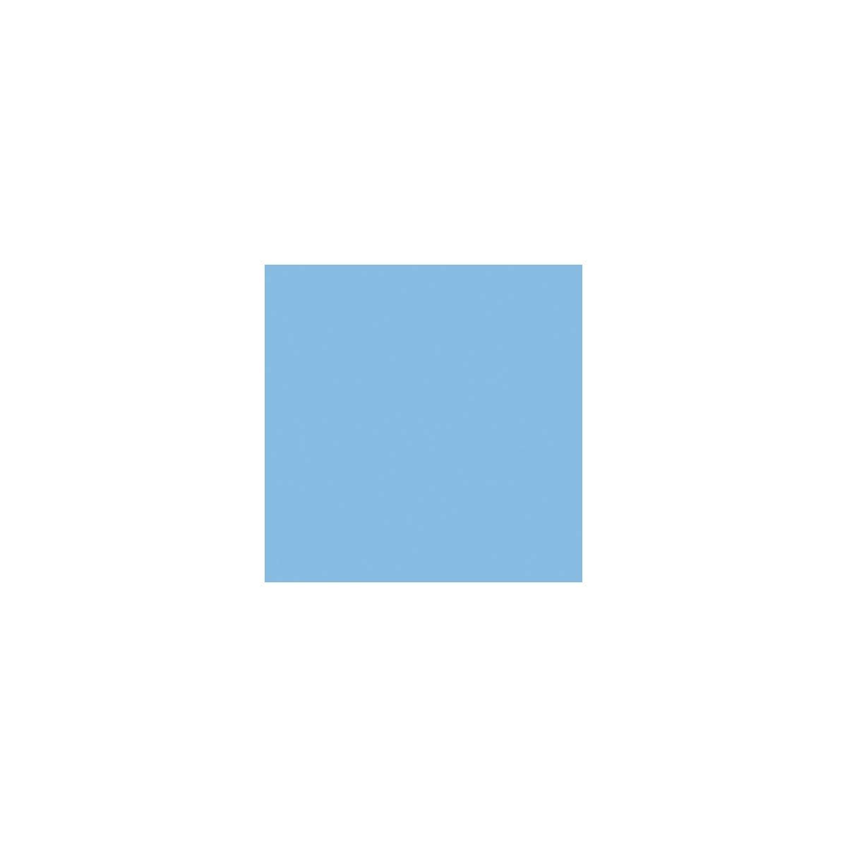 Amazon.com : Lee 202 Half Blue 1/2 CTB Gel Filter Roll 4'x25